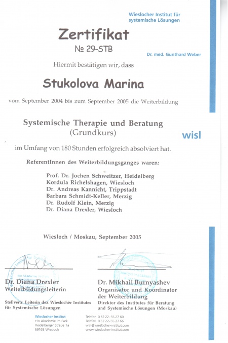 Wieslocher Institut fur systemische Losungen